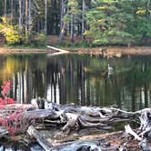 Review photo of Lorraine Park Campground — Harold Parker State Forest by J   G., May 1, 2021