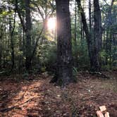 Review photo of Lorraine Park Campground — Harold Parker State Forest by J   G., May 1, 2021