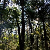 Review photo of Lorraine Park Campground — Harold Parker State Forest by J   G., May 1, 2021