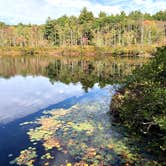 Review photo of Lorraine Park Campground — Harold Parker State Forest by J   G., May 1, 2021