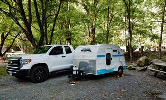 Camping near Johns River Road Backcountry Campground — Blue Ridge Parkway: Flintlock Campground, Vilas, North Carolina