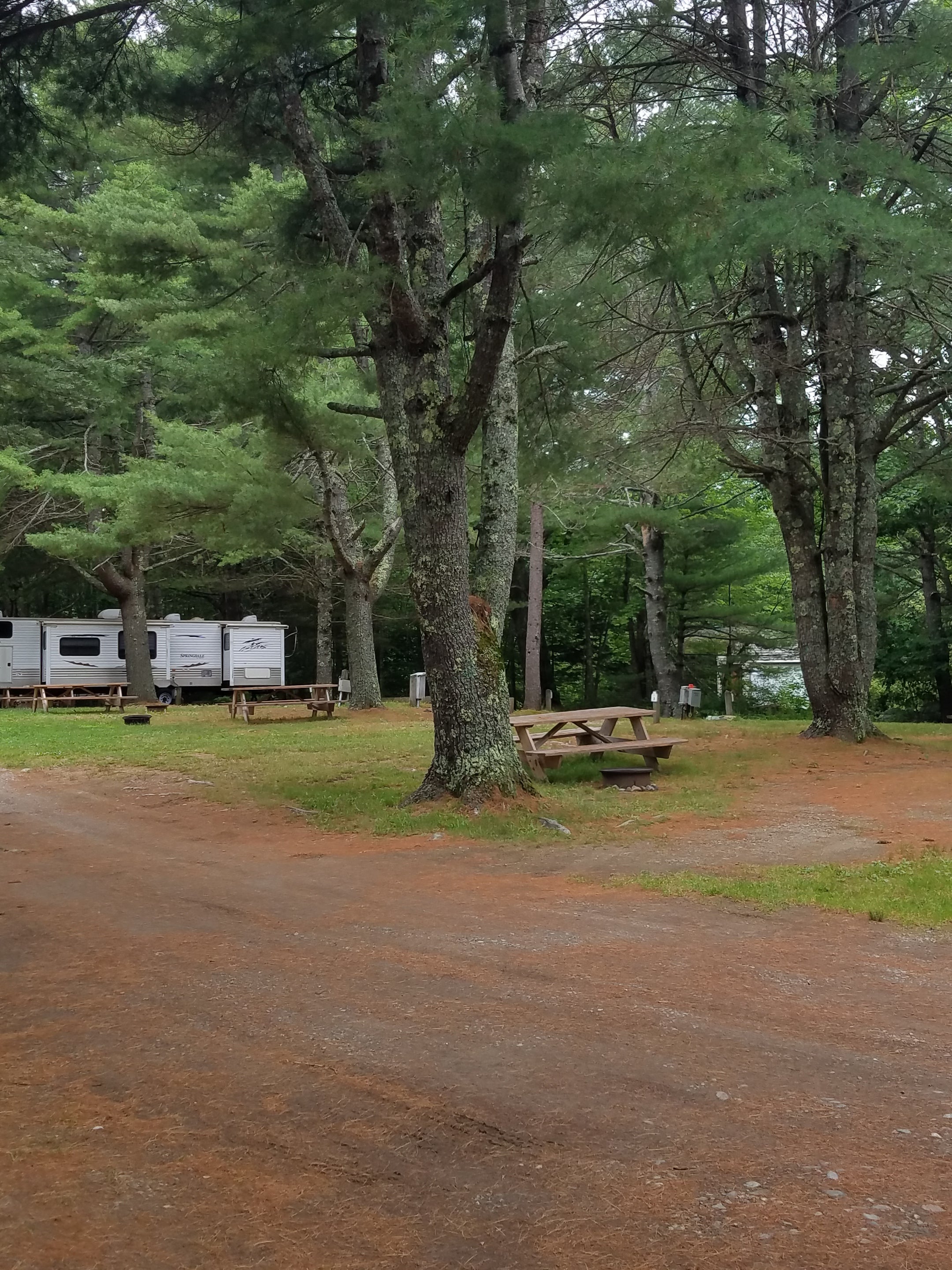Camper submitted image from Camden Hills RV Resort - 5