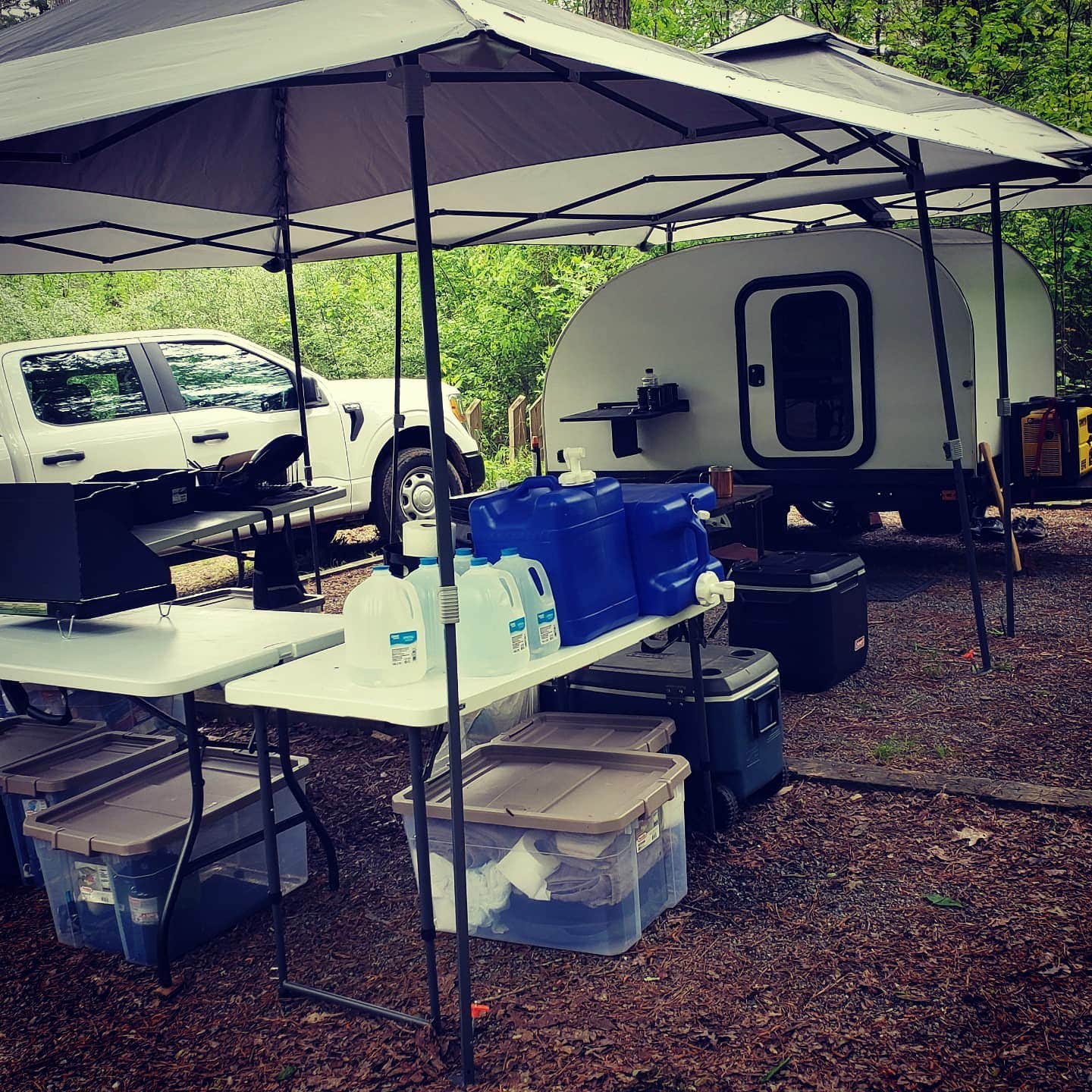 John's Mountain WMA Camping Villanow, GA