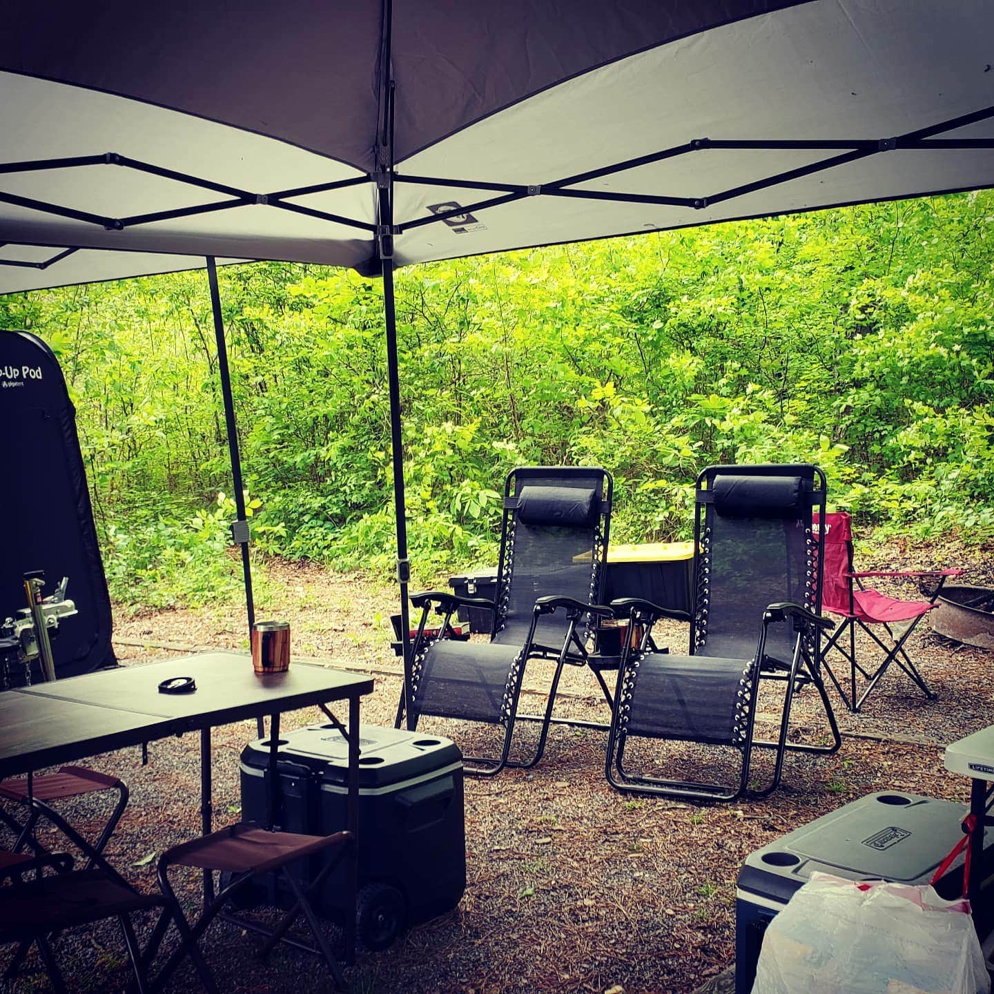 Camper submitted image from John's Mountain WMA - 2