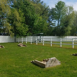 Horseshoe pits and playground