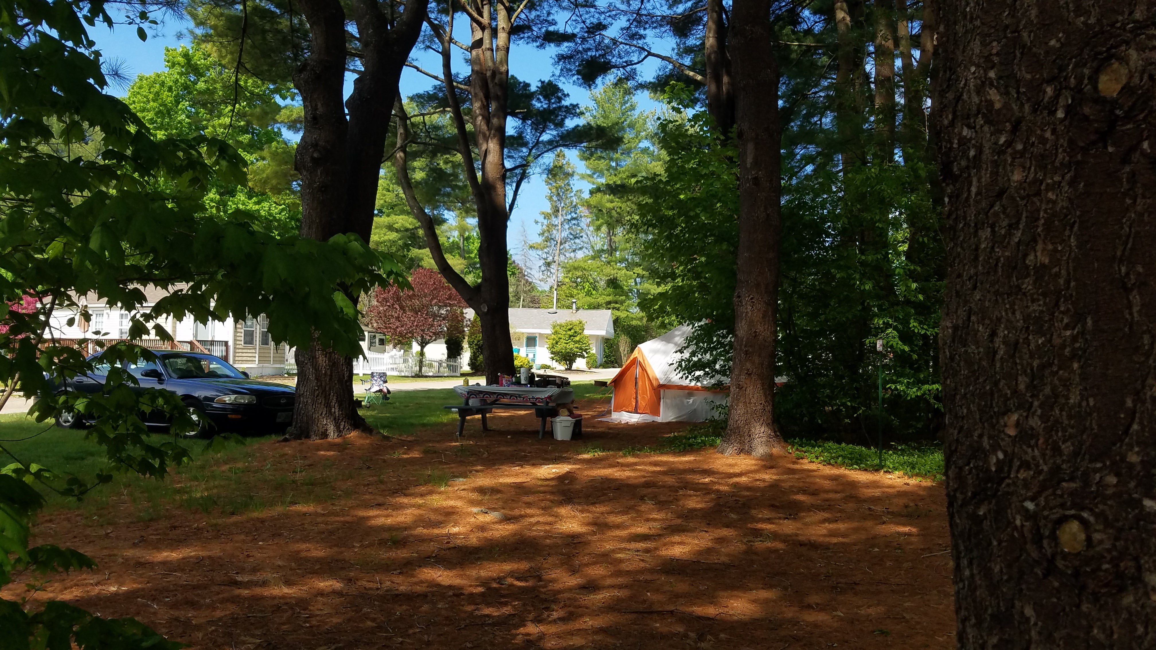 Camper submitted image from Seacoast Camping and RV Resort - 3