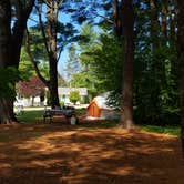 Review photo of Seacoast Camping and RV Resort by Nancy W., May 1, 2021