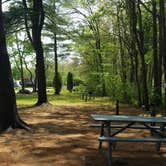 Review photo of Seacoast Camping and RV Resort by Nancy W., May 1, 2021