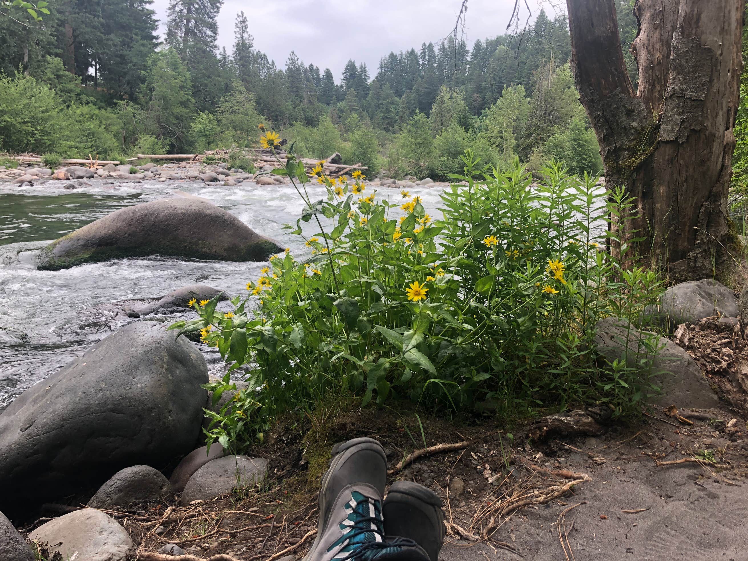 Tucker Park Campground Camping The Dyrt