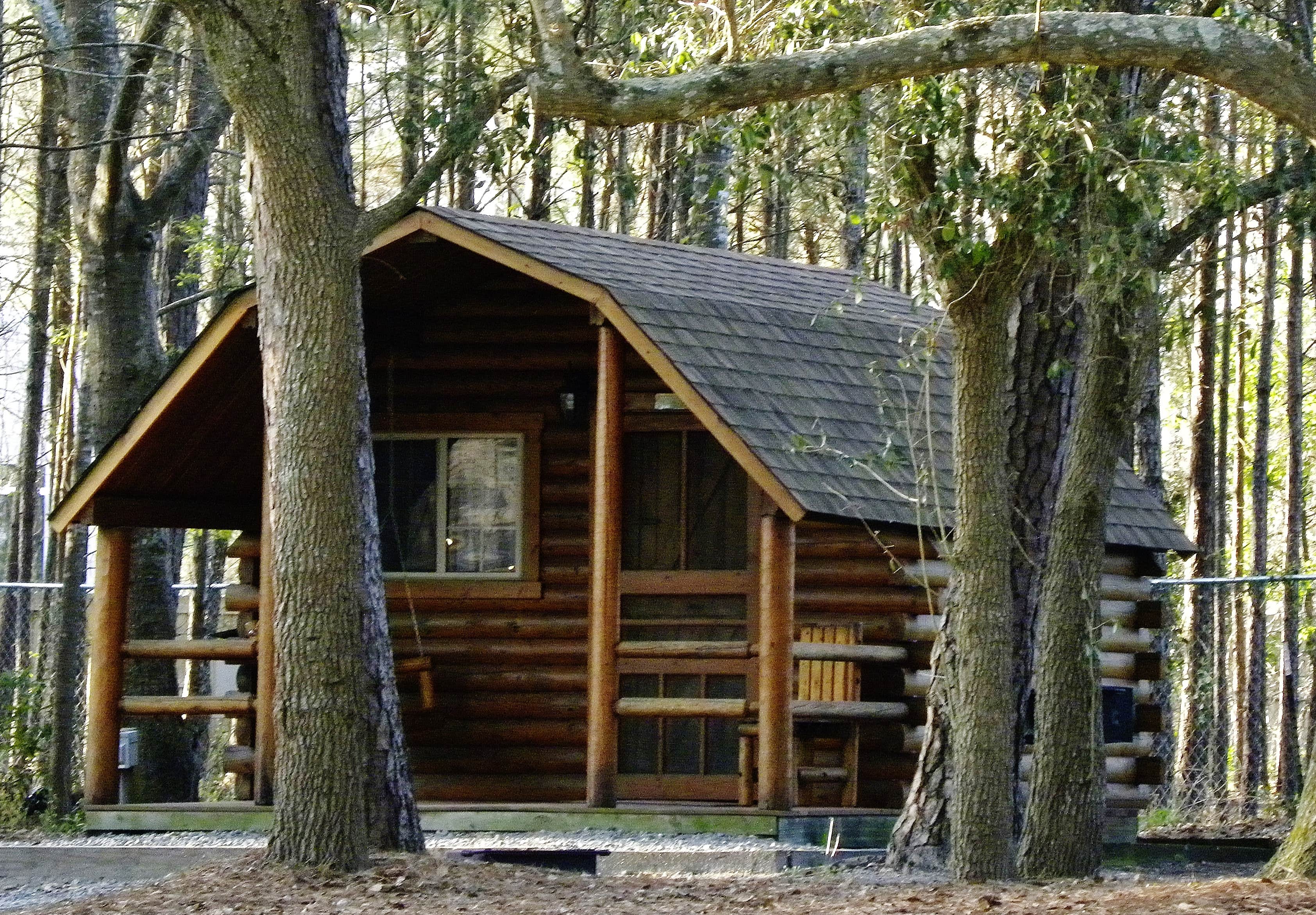 Myron C.'s photo of a cabin at Wilmington KOA near Leland, NC