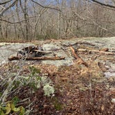 Review photo of Whiterock Mountain Backcountry Campsite by Asher K., May 1, 2021