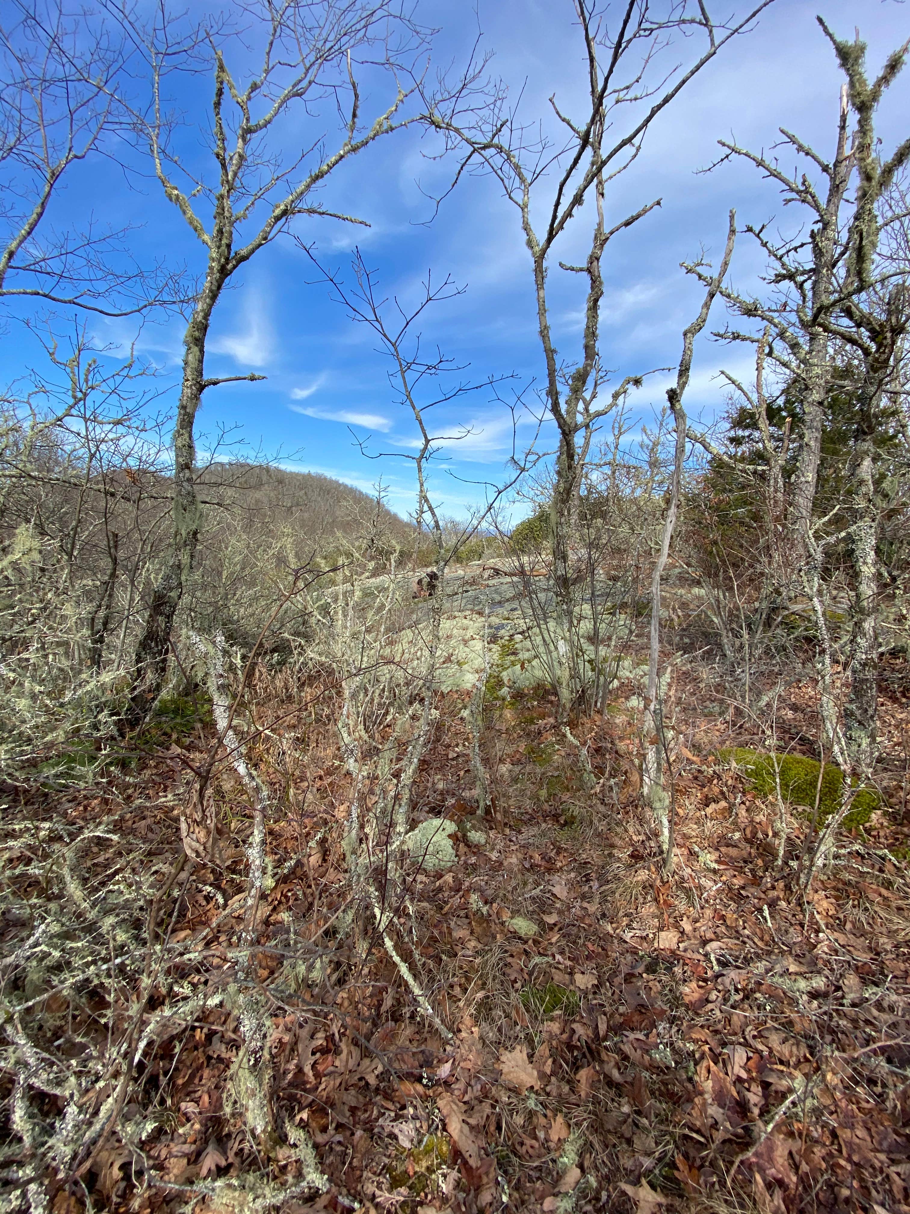 Camper-submitted photo at Whiterock Mountain Backcountry Campsite near Otto, NC