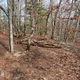 Review photo of Whiterock Mountain Backcountry Campsite by Asher K., May 1, 2021