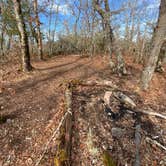 Review photo of Whiterock Mountain Backcountry Campsite by Asher K., May 1, 2021