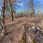 Review photo of Whiterock Mountain Backcountry Campsite by Asher K., May 1, 2021