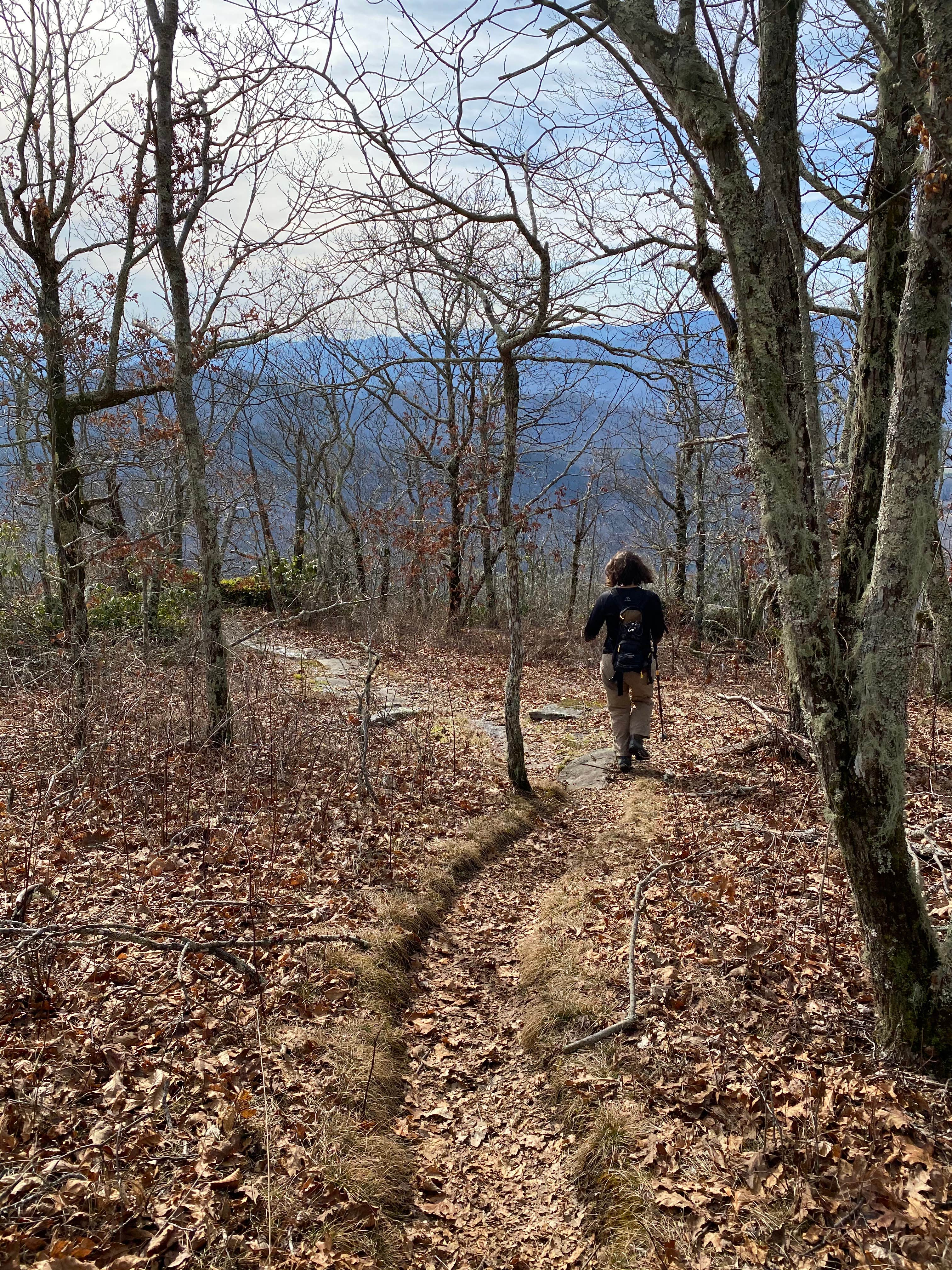 Camper submitted image from Whiterock Mountain Backcountry Campsite - 4
