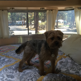 Review photo of Creekside Sisters City Park by Kayko S., July 14, 2016