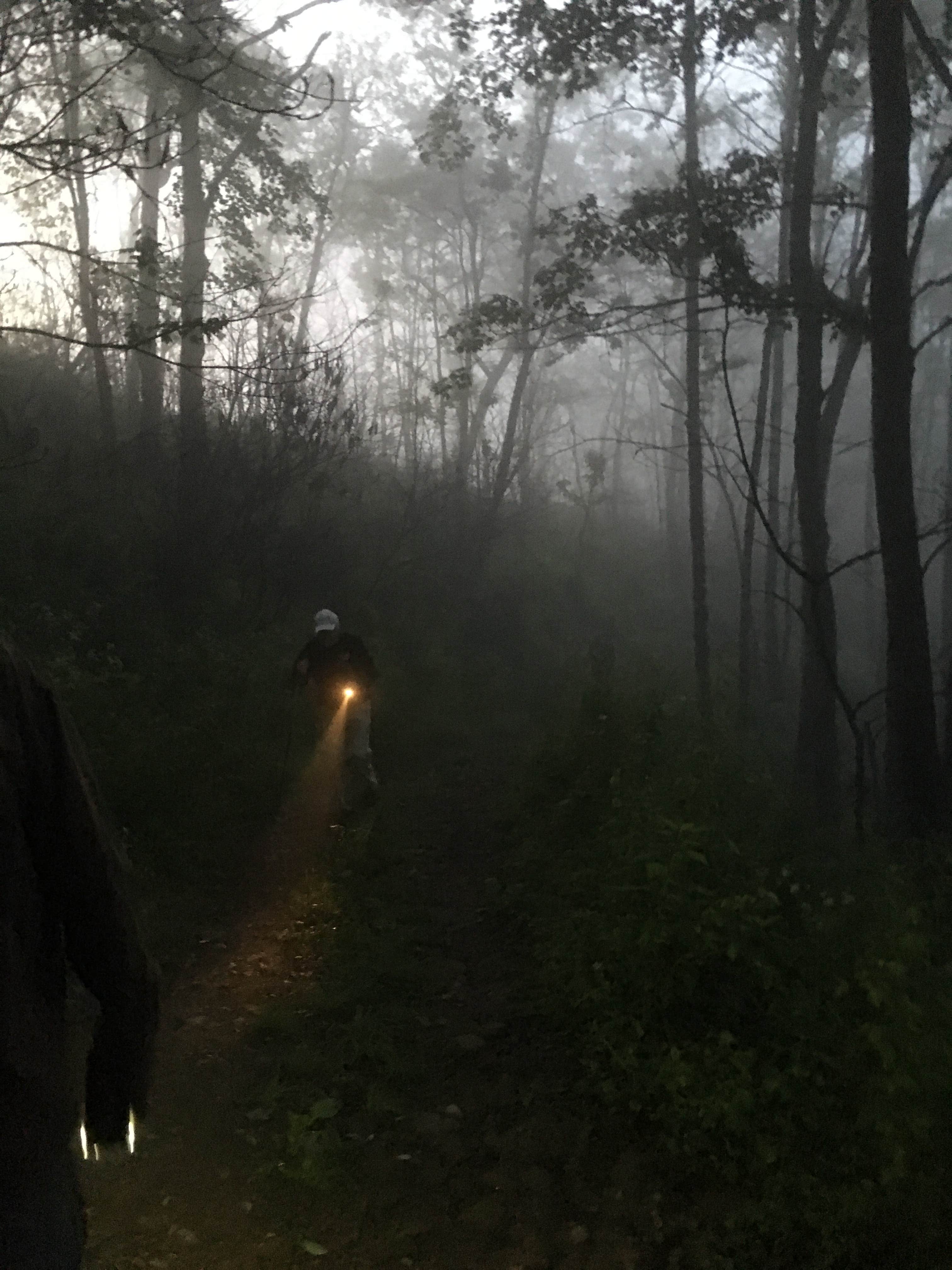 Camper submitted image from Wesser Bald Fire Tower - 3