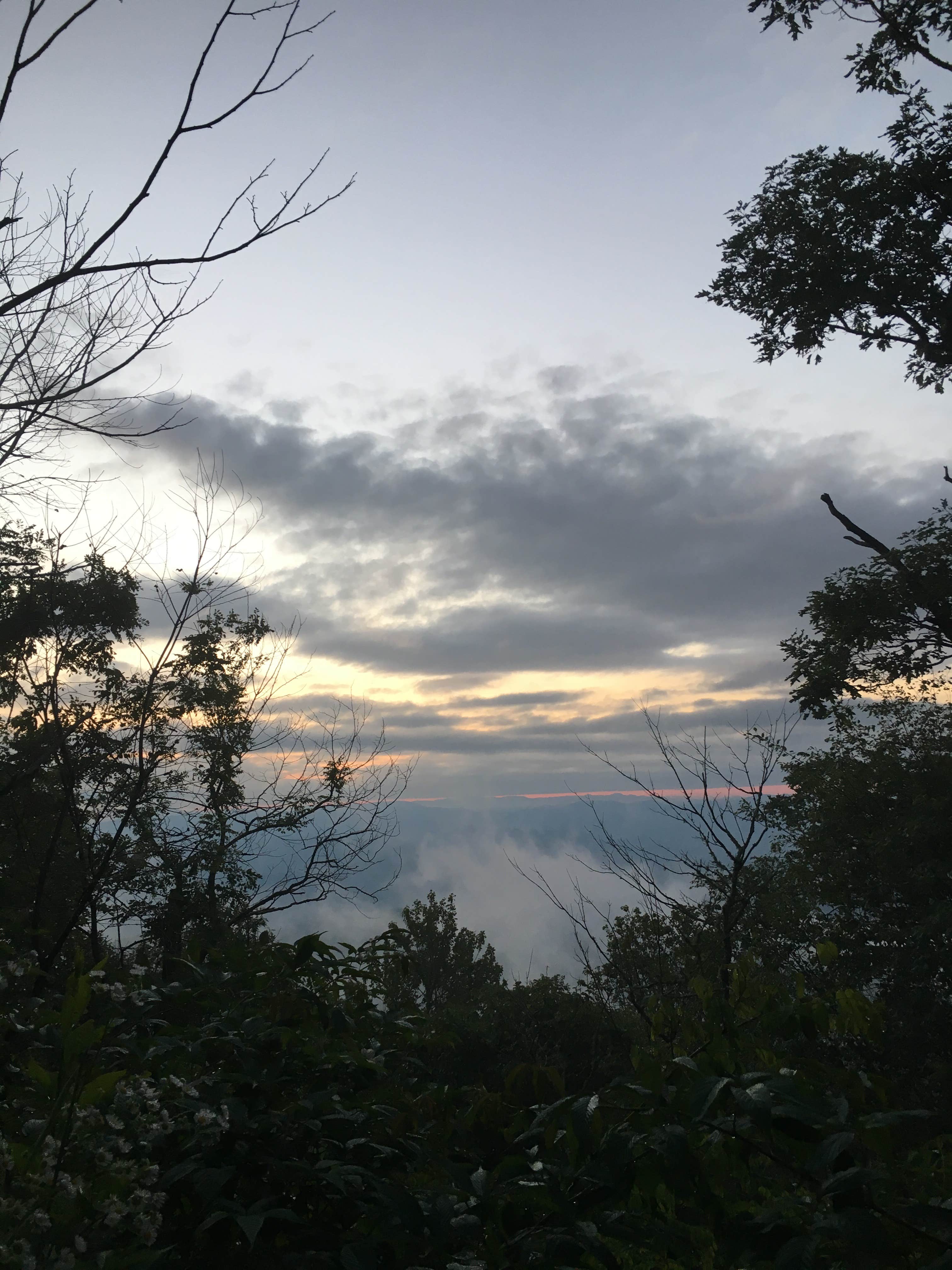 Asher K.'s photo of a dispersed camping area at Wesser Bald Fire Tower near Tallassee, TN