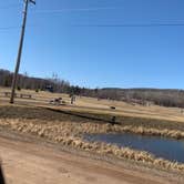 Review photo of Black Beach Campground by Scott M., May 1, 2021