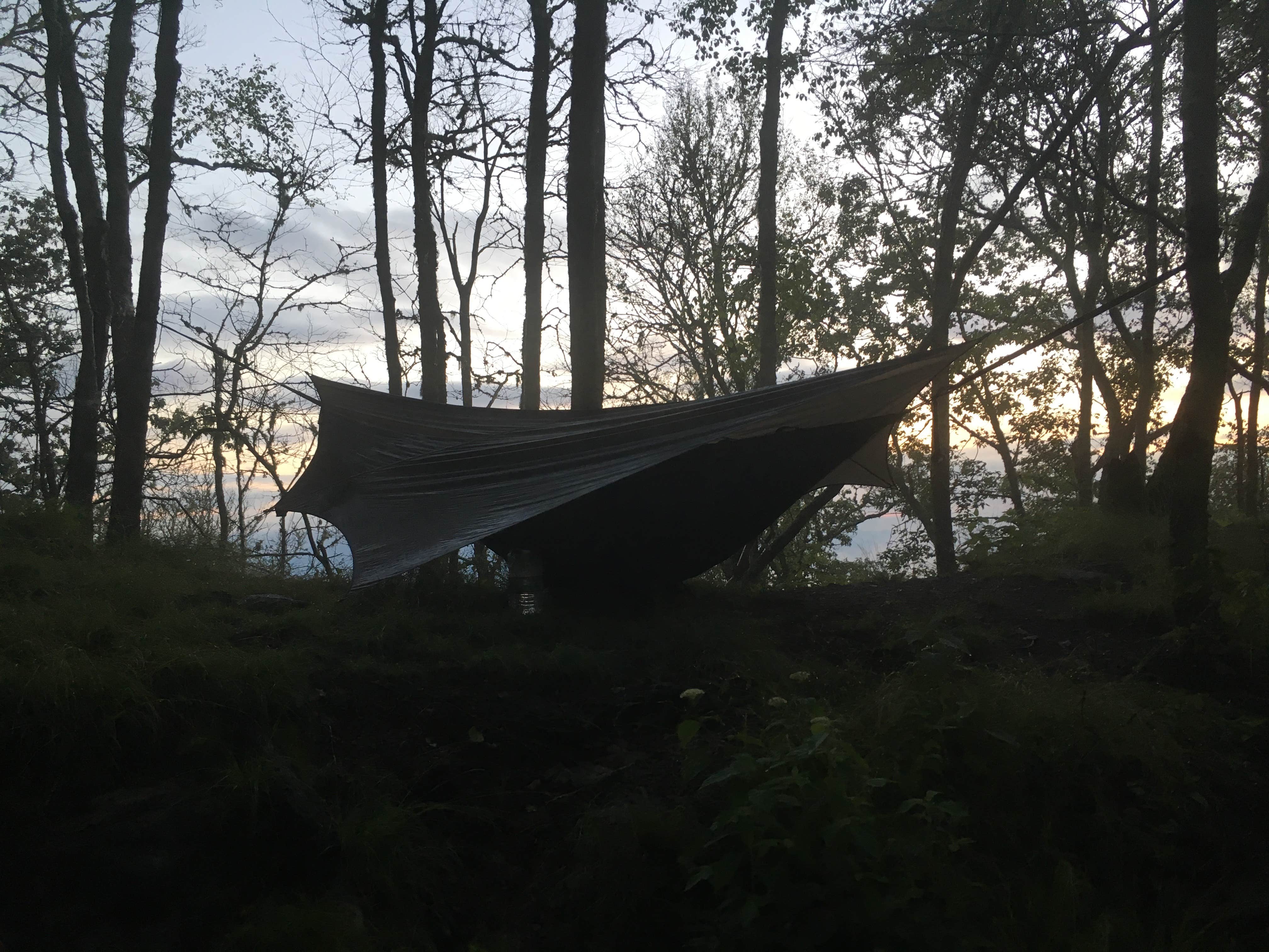 Camper submitted image from Wesser Bald Fire Tower - 2