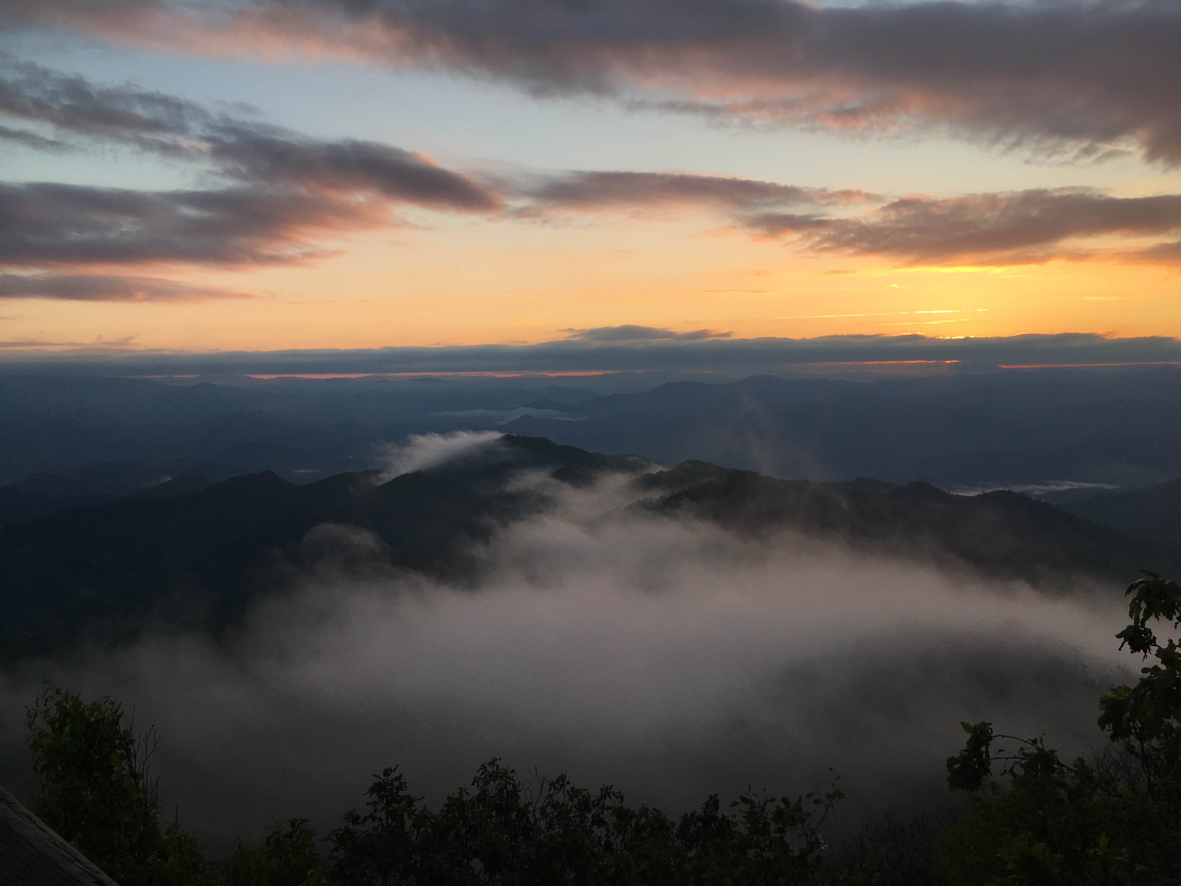 Asher K.'s photo of a dispersed camping area at Wesser Bald Fire Tower near Alcoa, TN
