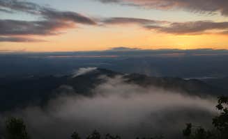 Asher K.'s photo of a dispersed camping area at Wesser Bald Fire Tower near Topton, NC