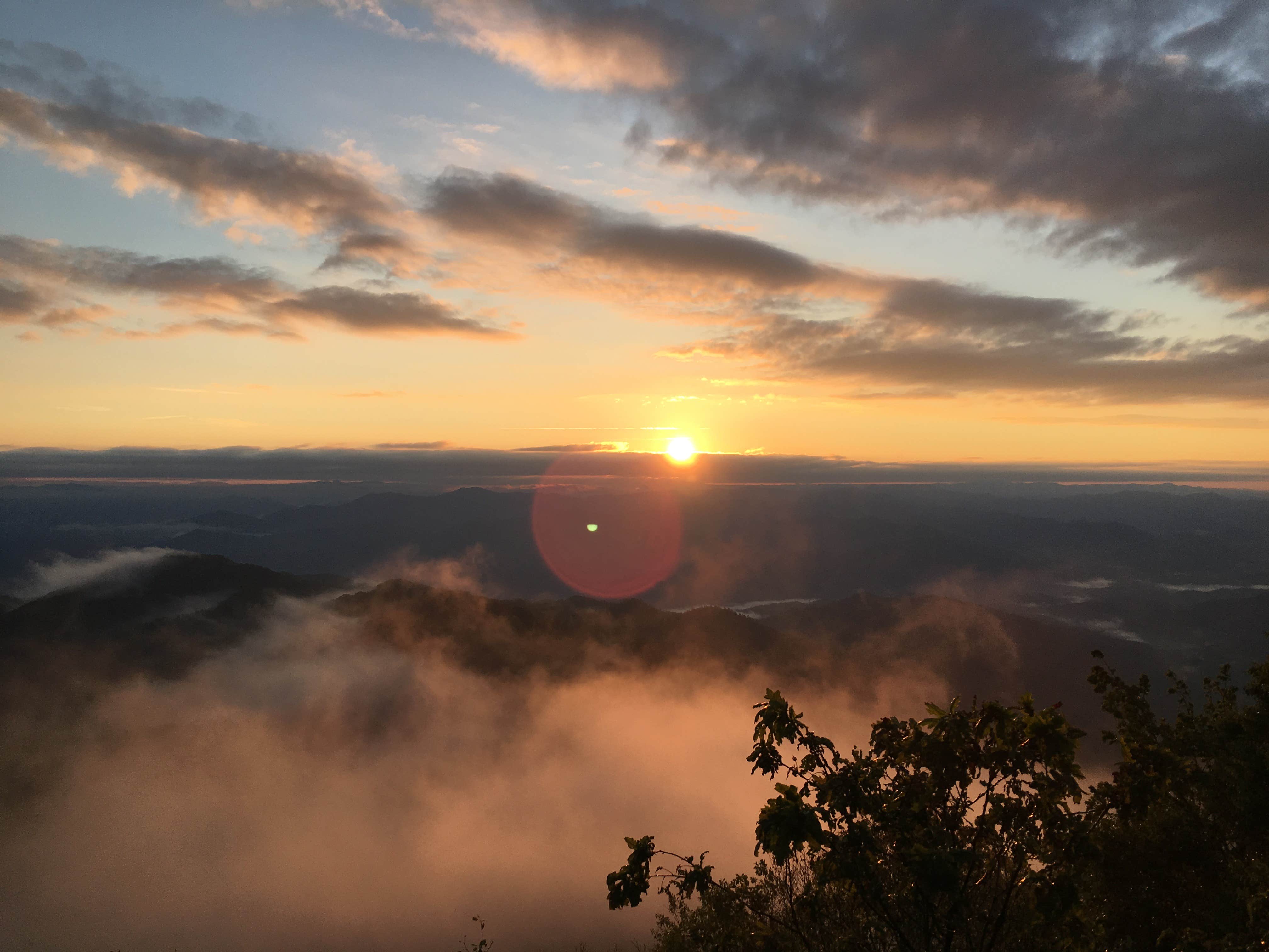 Asher K.'s photo of a dispersed camping area at Wesser Bald Fire Tower near Hartford, TN