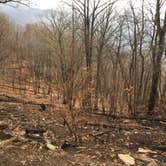 Review photo of Wesser Bald Fire Tower by Asher K., May 1, 2021