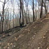 Review photo of Wesser Bald Fire Tower by Asher K., May 1, 2021