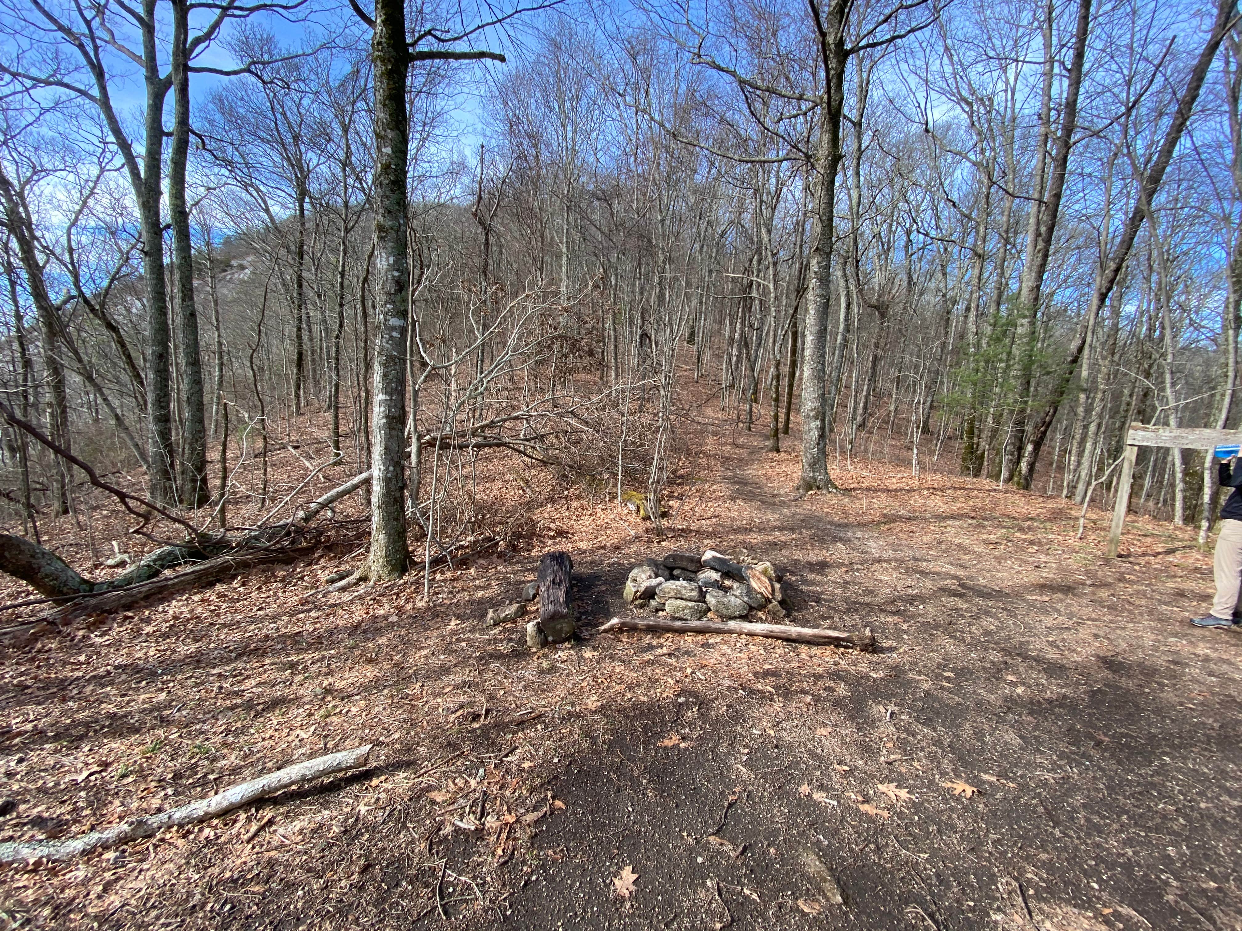 Camper submitted image from Whiterock Gap Backcountry Campsite - 4