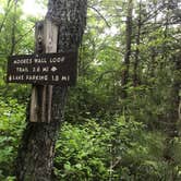 Review photo of Hanging Rock State Park Campground by Dave V., June 1, 2018