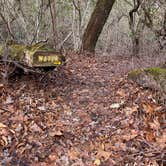 Review photo of Whiterock Gap Backcountry Campsite by Asher K., May 1, 2021