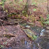 Review photo of Whiterock Gap Backcountry Campsite by Asher K., May 1, 2021