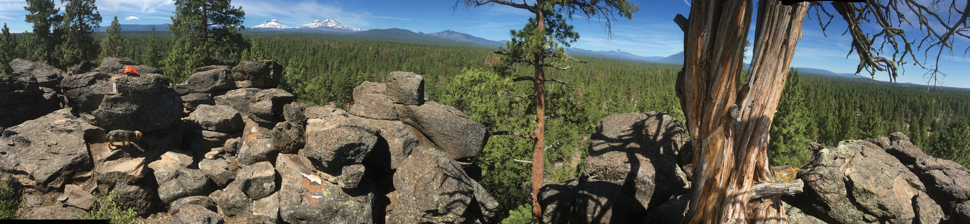 panoramic of the mountain bike views accessible from the campground. 