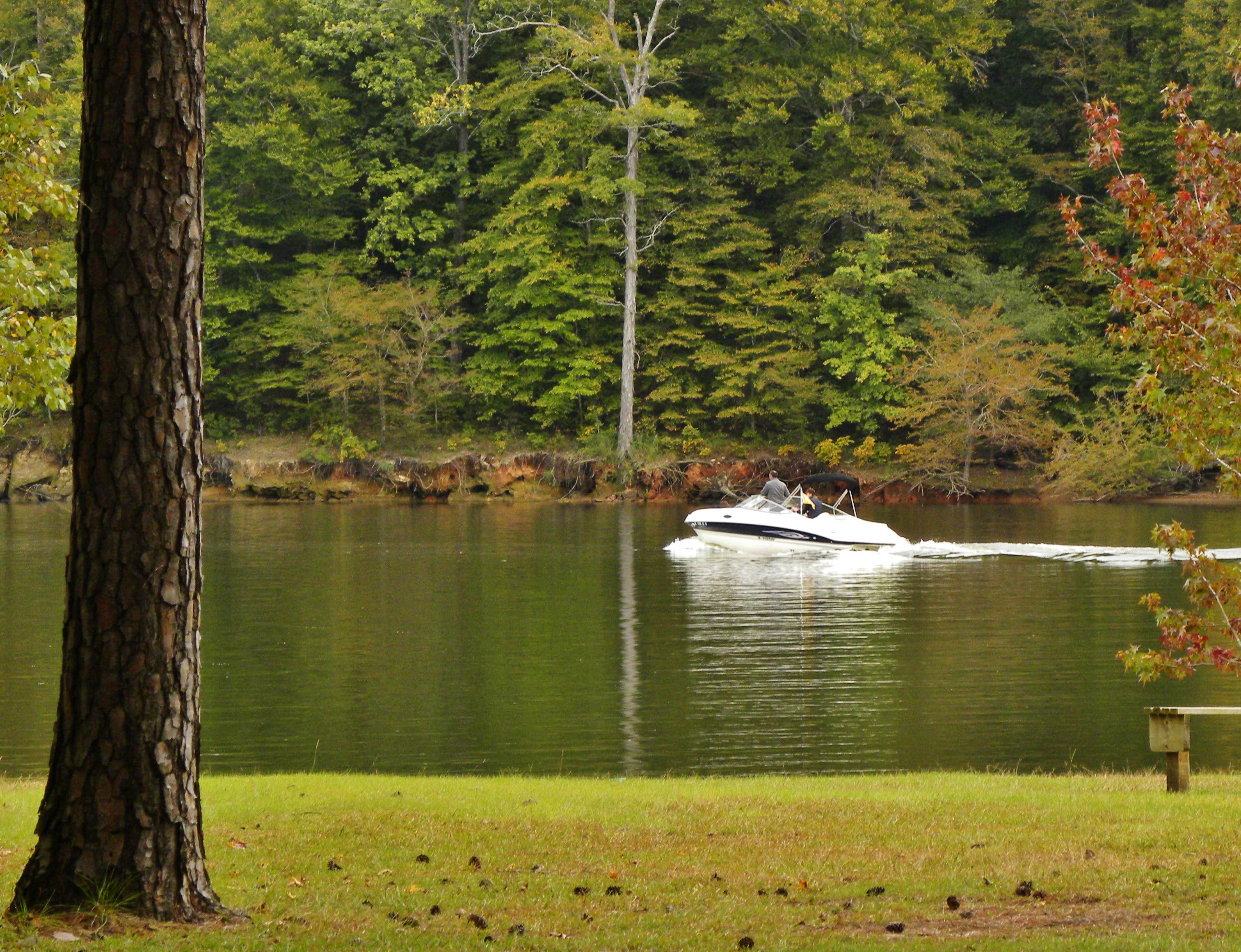 Falls Lake/Holly Point The Dyrt