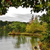 Review photo of Holly Point — Falls Lake State Recreation Area by Myron C., May 1, 2021