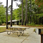 Review photo of Holly Point — Falls Lake State Recreation Area by Myron C., May 1, 2021