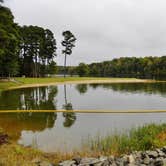 Review photo of Holly Point — Falls Lake State Recreation Area by Myron C., May 1, 2021