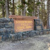 Review photo of Gooseberry Falls State Park Campground by Scott M., May 1, 2021