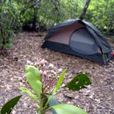 Review photo of Uwharrie National Forest by Myron C., May 1, 2021