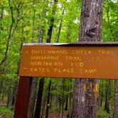 Review photo of Uwharrie National Forest by Myron C., May 1, 2021