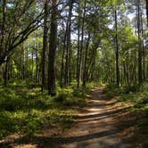 Review photo of Uwharrie National Forest by Myron C., May 1, 2021