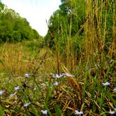 Review photo of Uwharrie National Forest by Myron C., May 1, 2021