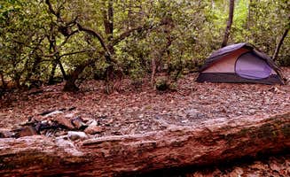 Myron C.'s photo at Uwharrie National Forest near Rockingham, NC