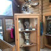 Review photo of Hanging Rock State Park Campground by Dave V., June 1, 2018