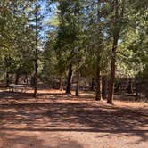 Review photo of Jay Cooke State Park Campground by Scott M., May 1, 2021