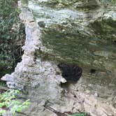 Review photo of Hanging Rock State Park Campground by Dave V., June 1, 2018