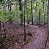 Review photo of William B. Umstead State Park by Myron C., May 1, 2021