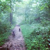 Review photo of Mammoth Cave Campground — Mammoth Cave National Park by Shelly S., June 1, 2018